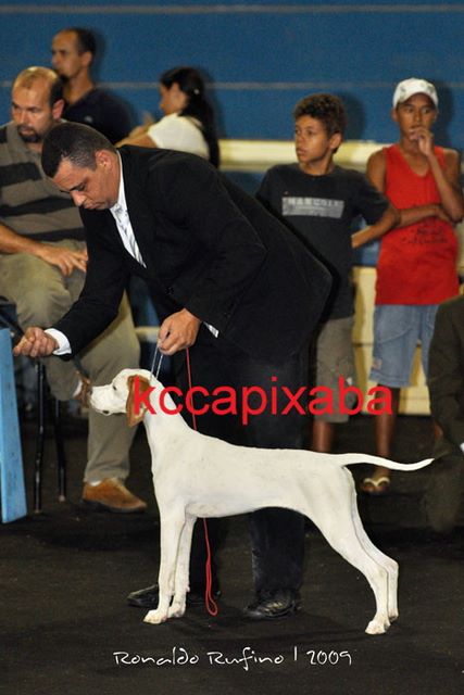 Clique sobre a foto para fechar